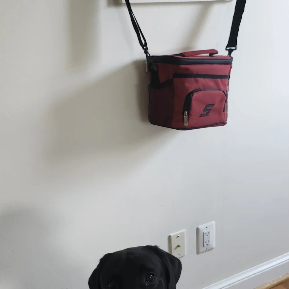 New Snap On Insulated Lunch Bag